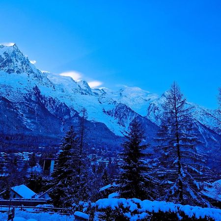 "Chalet Bobo" Cosy & Magnifique Vue Chx Sud Шамоні Екстер'єр фото
