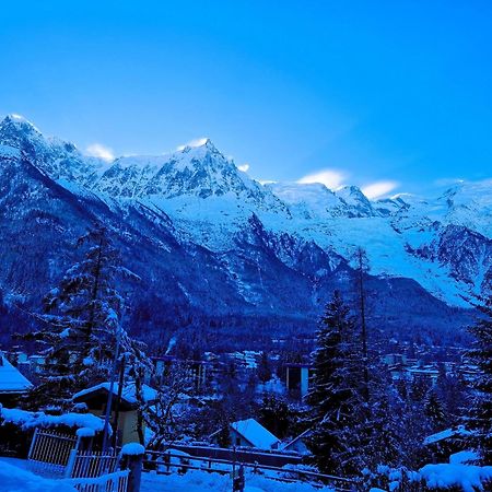 "Chalet Bobo" Cosy & Magnifique Vue Chx Sud Шамоні Екстер'єр фото